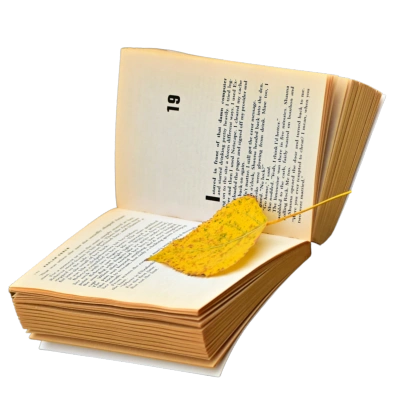 Audiolibros de Novelas. Libro abierto
